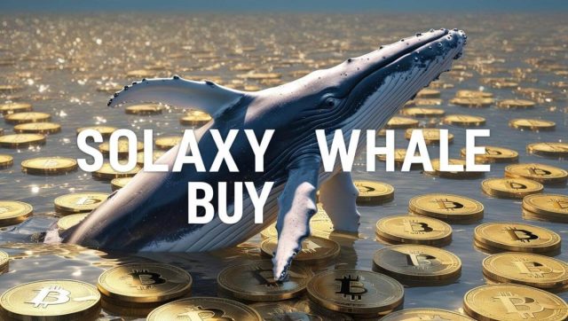 Solaxy ($SOLX): Solana's Layer-2 Solution? Presale Success & Whale Activity