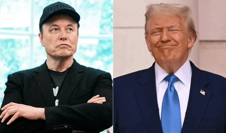 Musk-Trump Clash: Dogecoin Plummets, Crypto Market Shakes