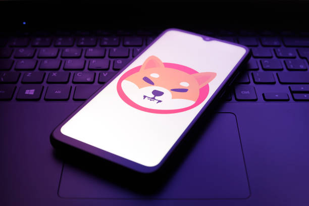 SHIB Open Interest Plummets: Is the Meme Coin Rally Over?